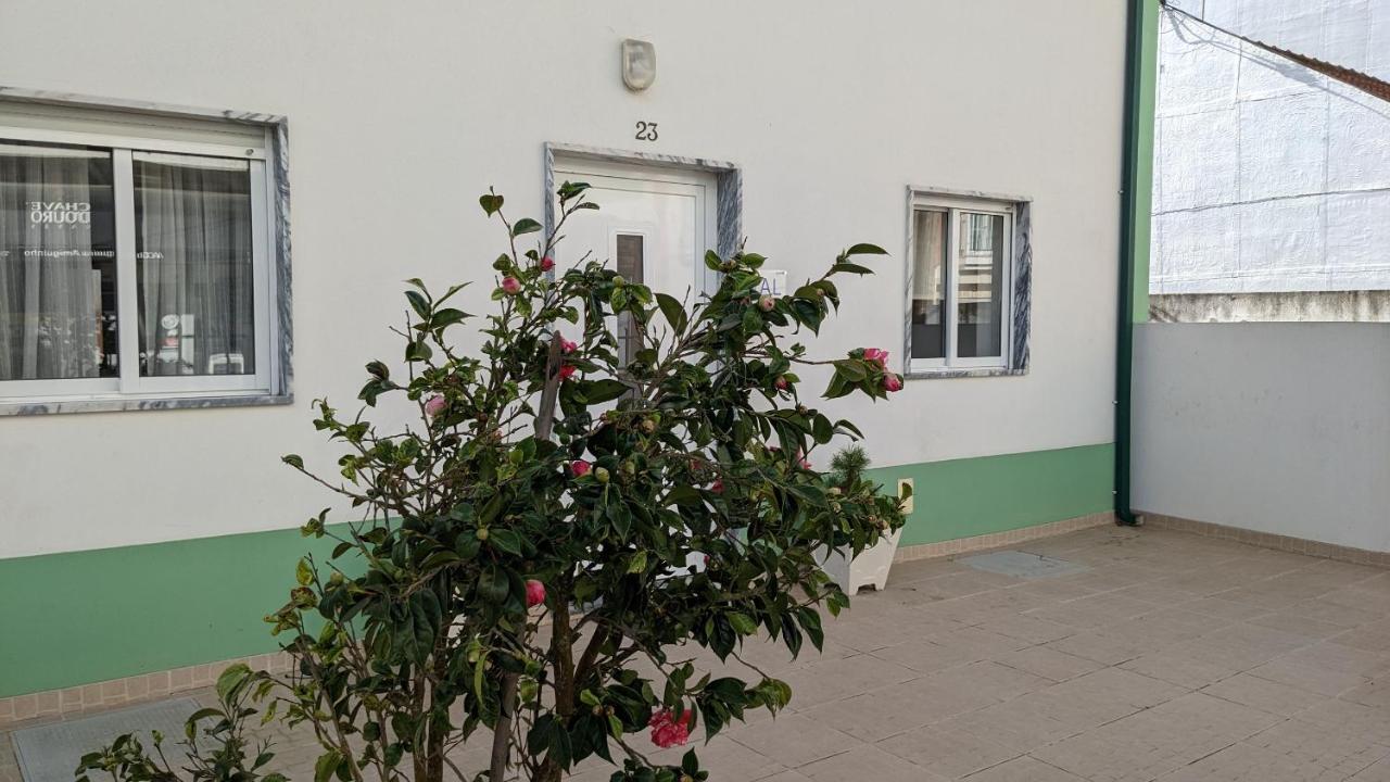 Casa Domingues Guest House Калдаш-да-Раїня Екстер'єр фото